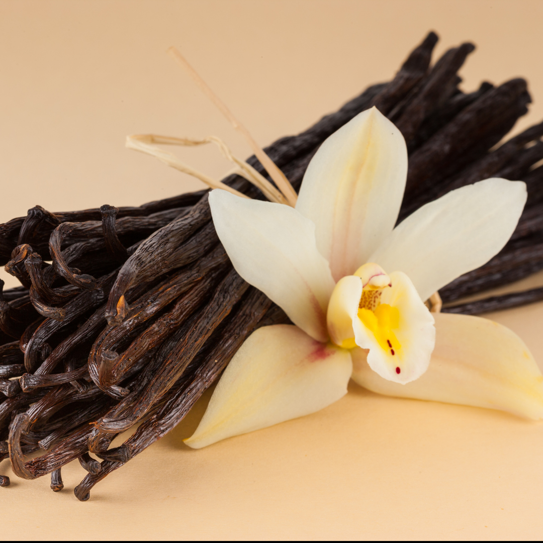[Made in SG] Tahitian Whole Vanilla Bean Pods 10g — Premium Grade